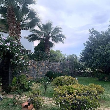 Ferienwohnung Ammoudi Hideaway Agios Nikolaos Exterior foto