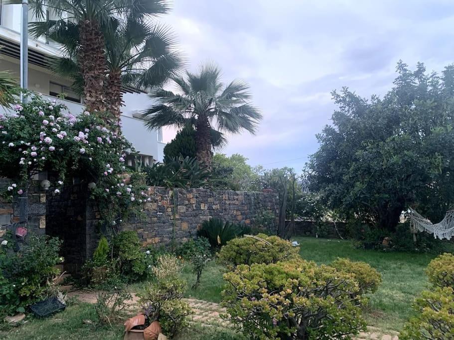 Ferienwohnung Ammoudi Hideaway Agios Nikolaos Exterior foto